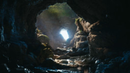 Yuta Endo ‎ 遠藤ユウタ