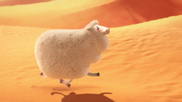 Yuta Endo ‎ 遠藤ユウタ