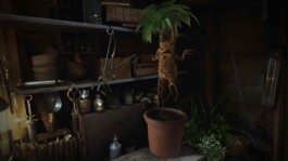 Yuta Endo ‎ 遠藤ユウタ