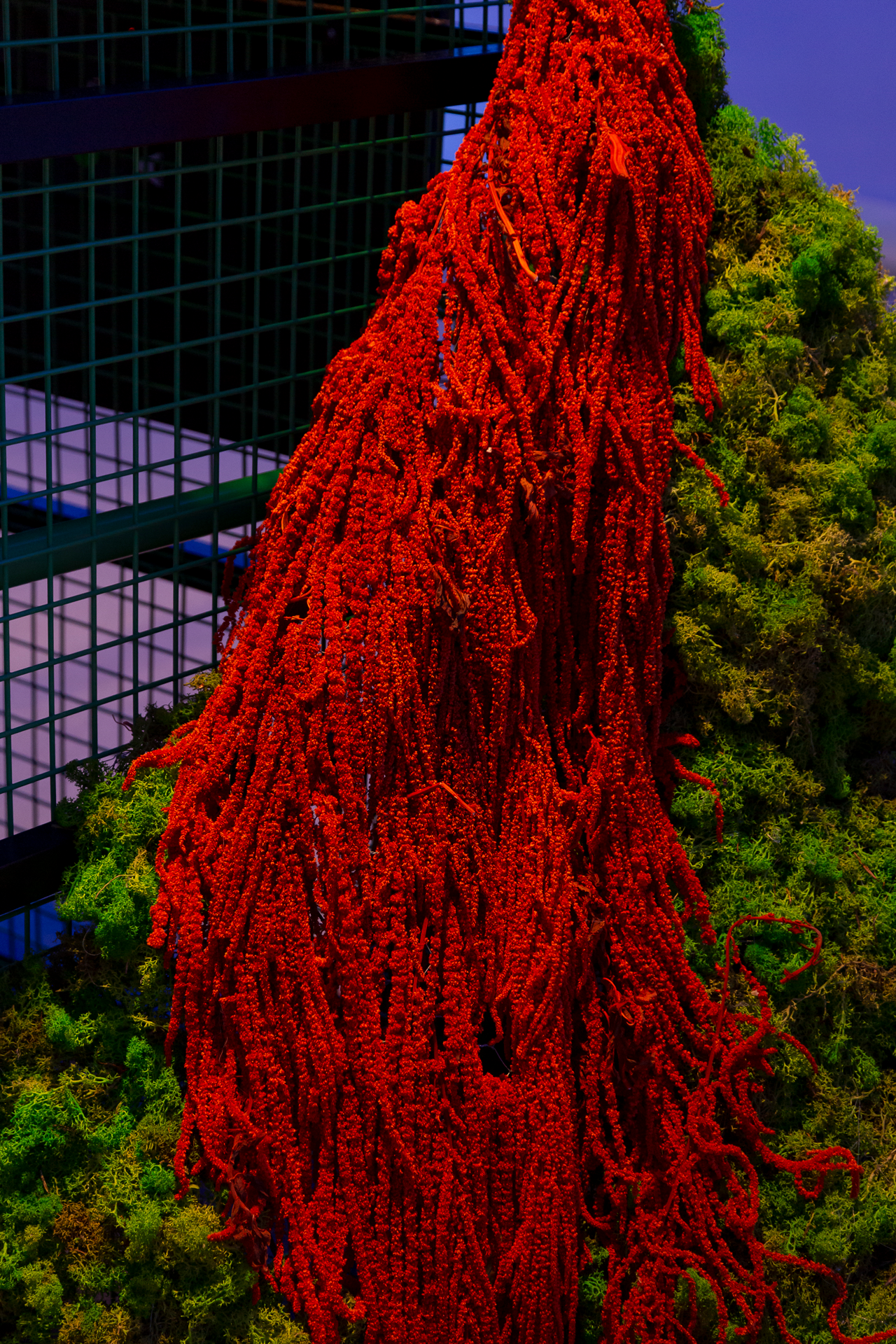 Yuta Endo ‎ 遠藤ユウタ