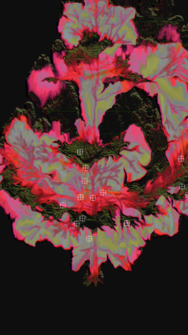 Yuta Endo ‎ 遠藤ユウタ