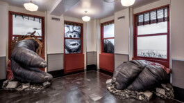 Yuta Endo ‎ 遠藤ユウタ