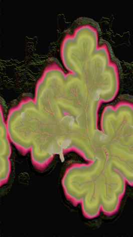 Yuta Endo ‎ 遠藤ユウタ